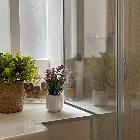 Loyola Premium Centro Córdoba